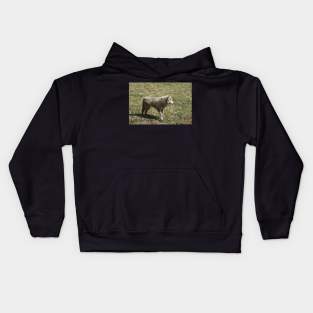 White Wolf Kids Hoodie